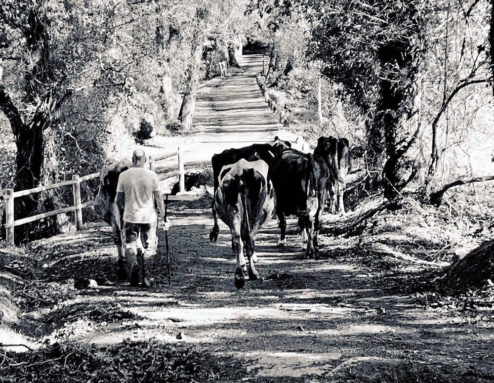 L'abondance tuera! (FR) / L'abbondanza ucciderà ! (IT)