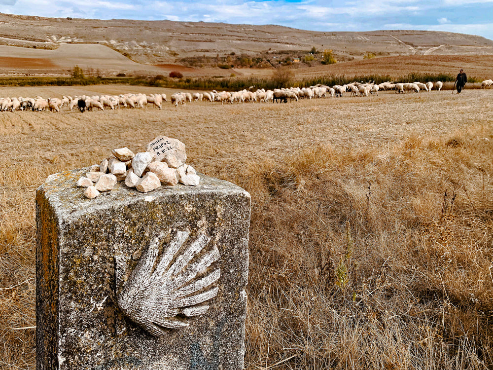L'abondance tuera! (FR) / L'abbondanza ucciderà ! (IT)