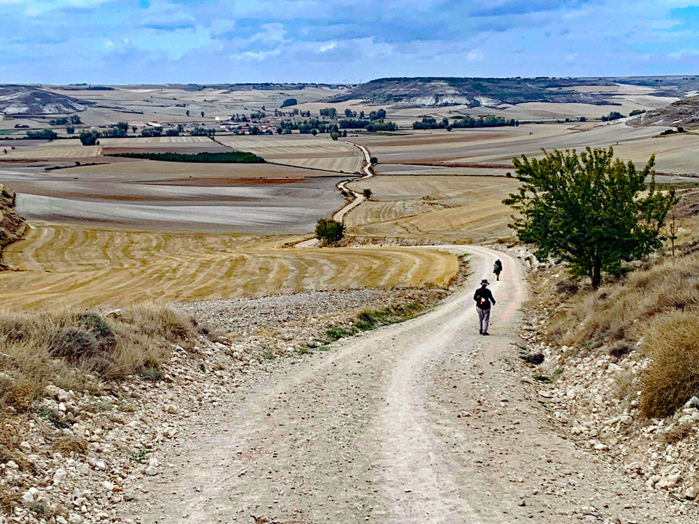 L'abondance tuera! (FR) / L'abbondanza ucciderà ! (IT)