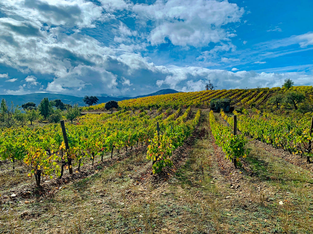 L'abondance tuera! (FR) / L'abbondanza ucciderà ! (IT)