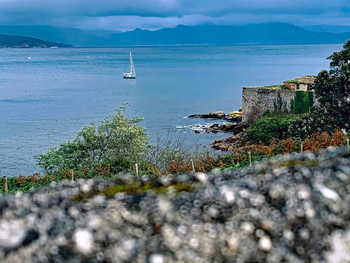 L'abondance tuera! (FR) / L'abbondanza ucciderà ! (IT)